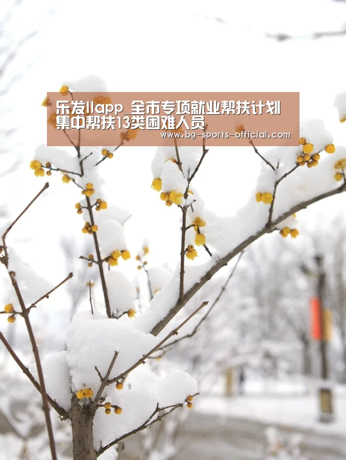乐发IIapp_全市专项就业帮扶计划集中帮扶13类困难人员(图3) 乐发IIapp