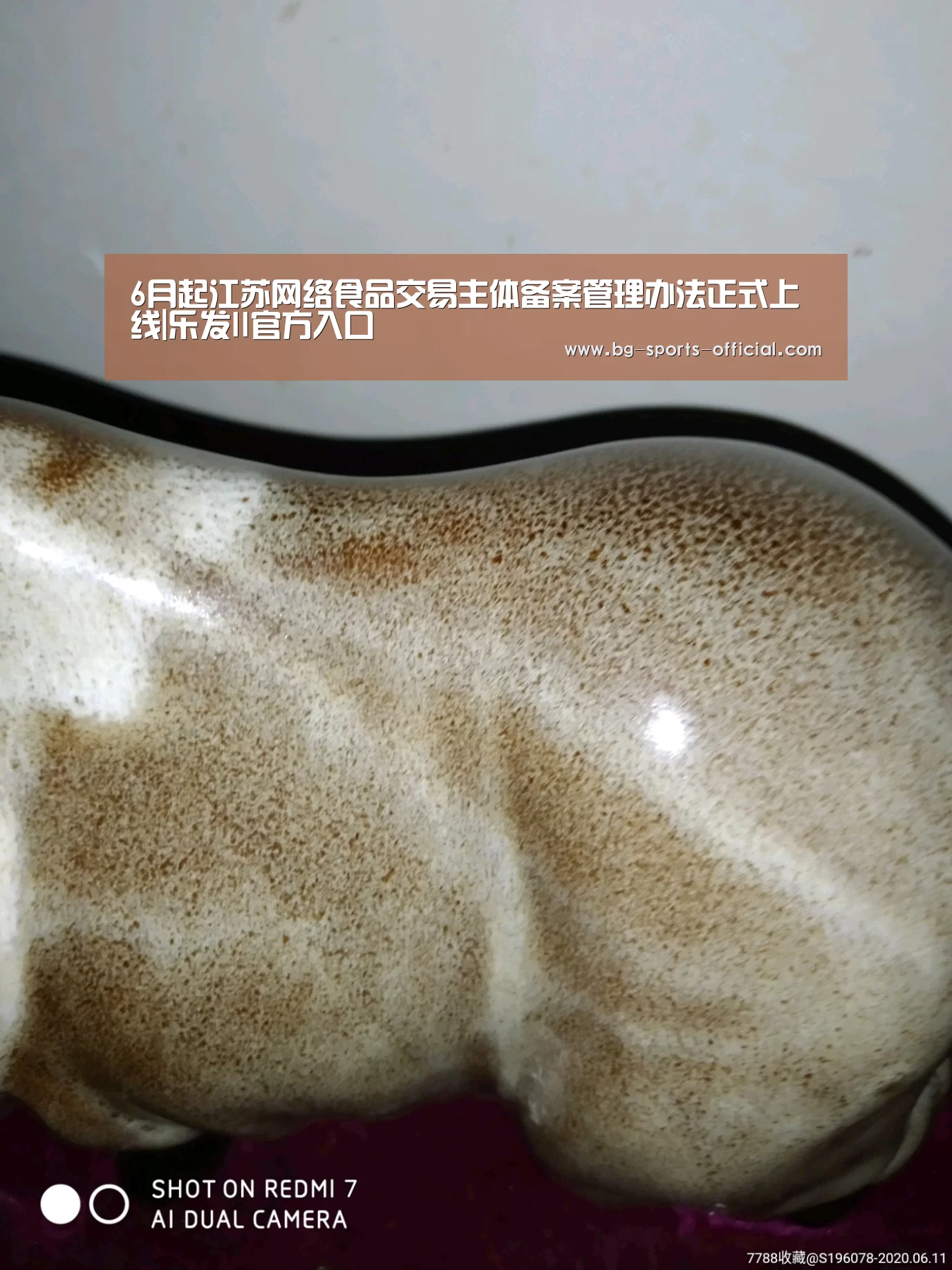 乐发IIAPP下载